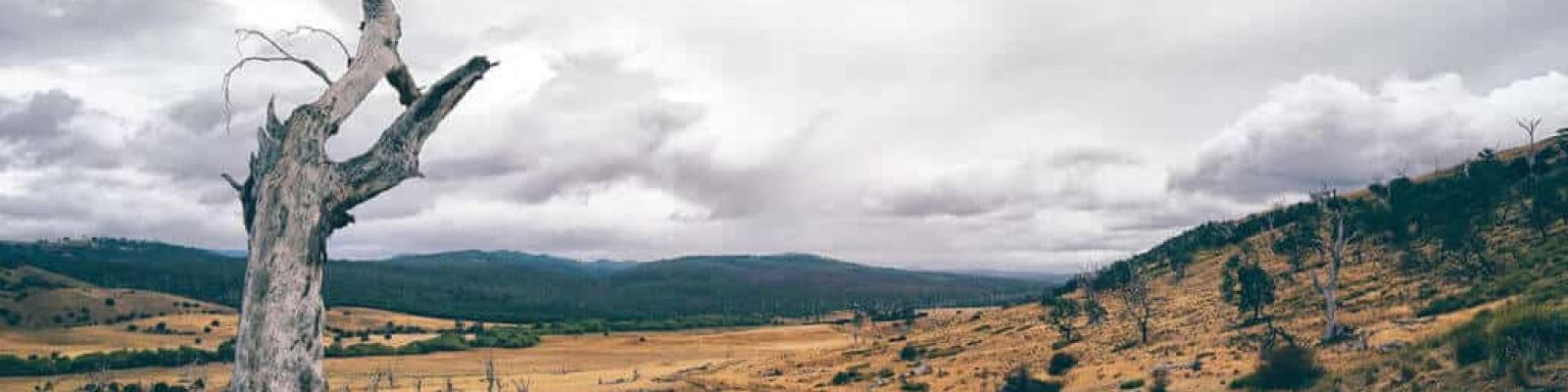 Bloody Mission: Tassie Trail